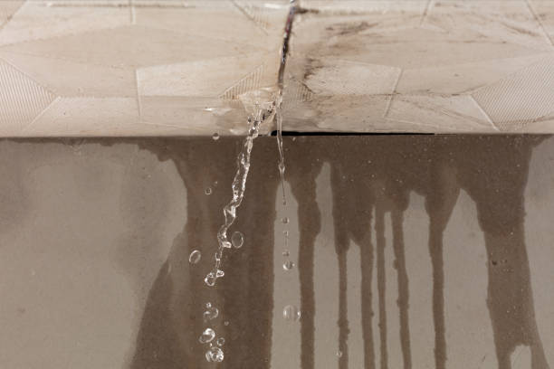 Professional Water Damage Repair technician working in Tecumseh, MI